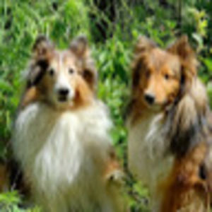 Meet your Posher, Sheri